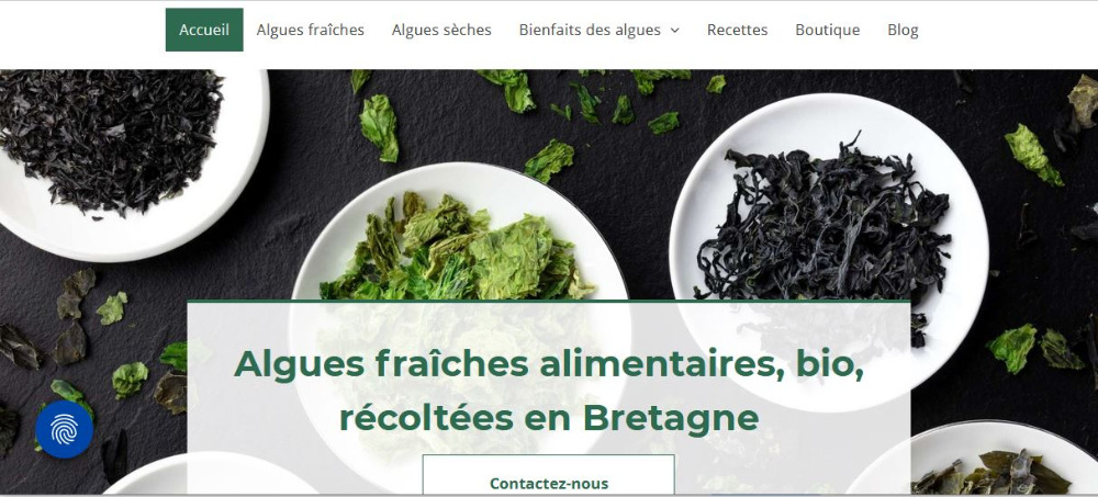 Soins-naturels-Bio-Pays-de-la-Loire-Vendee-Algues-fraiches-Votre-sante-au-quotidien-dans-votre-assiette-3172931425155677377.jpg
